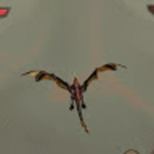 Meet your Posher, Everett